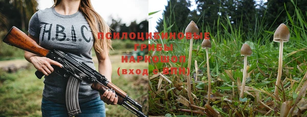 синтетический гашиш Сосновоборск
