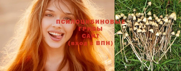 ПСИЛОЦИБИНОВЫЕ ГРИБЫ Алзамай